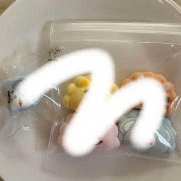 주물럭 타바스 스퀴즈 극소 자라 곰