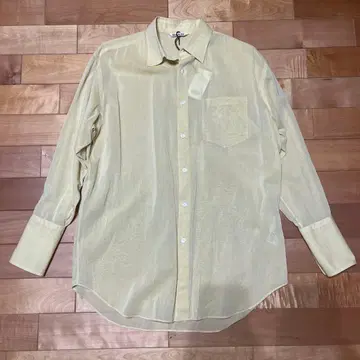 auralee hard twist finx organdy shirt