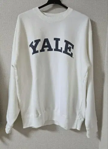 그레디 브릴리언트 GOOD ROCK SPEED YALE 피그먼트 SW