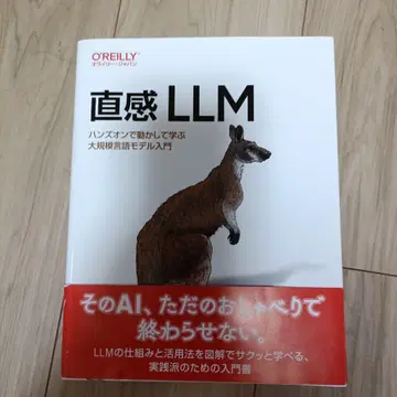 직감 LLM - 오라이리 재팬