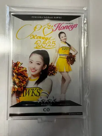 타카콜 복권 허니즈