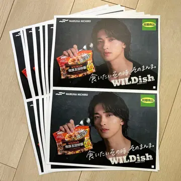 요코하마 류세이 와일디쉬 B5 사이즈 POP 10장