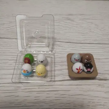 만마루쨩 새 팩 2 가챠가챠 2종 세트 x 8개 모란앵무 벚꽃 문조