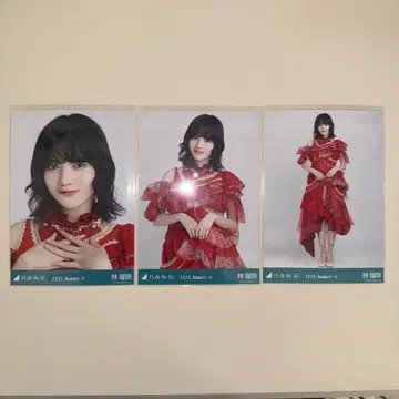 하야시 루나 노기자카46 브로마이드