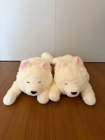 사모예드 군 엎드린 강아지 봉제 인형 2체 세트 화이트