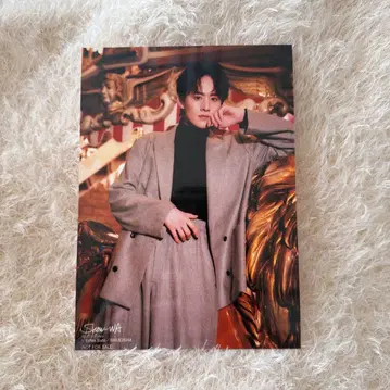 SHOW-WA 달력 브로마이드 무카이야마 타케시