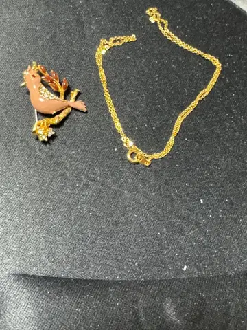 브로치와 골드 체인 세트