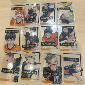 하이큐 팬파크 금박 클리어 카드 컬렉션 카라스노 12점