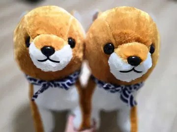 시바견 큰 봉제 인형