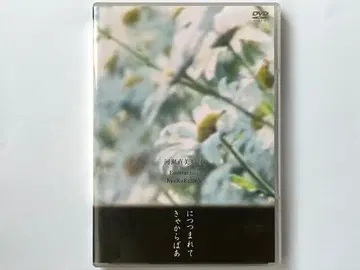 니츠츠마레테/캬카라바아