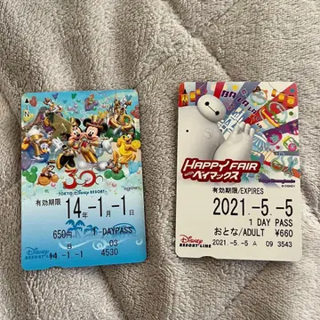 리조트 라인 프리 티켓 디즈니 리조트