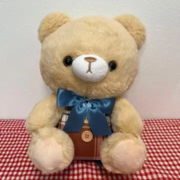 895. 클래식 타탄 베어