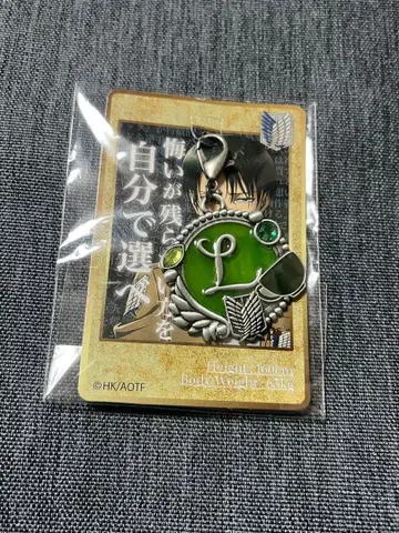 USJ 유니버셜 진격의 거인 리바이 콜렉터블 참