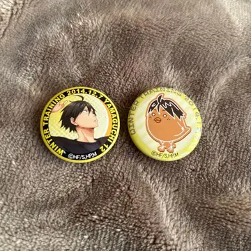 하이큐 겨울 강화 합숙 야마구치 타다시 캔뱃지