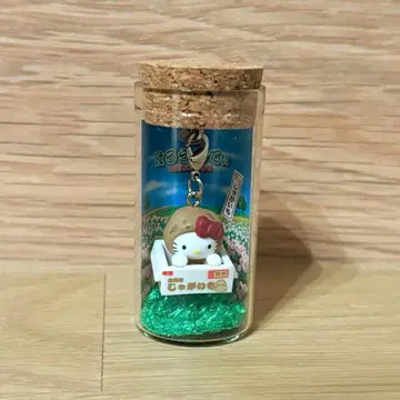 지역 한정 키티 홋카이도 감자 병 마스코트