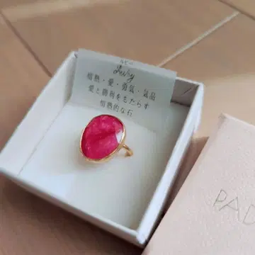 PADOVA 루비 오벌 반지