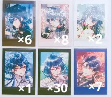 [악마 고양이] 바스틴 파샤코레 묶음 판매