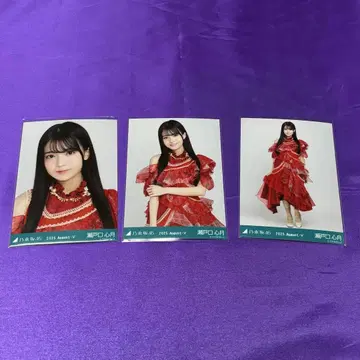 세토구치 신게츠 13th BD 라이브 의상 2 브로마이드 컴프