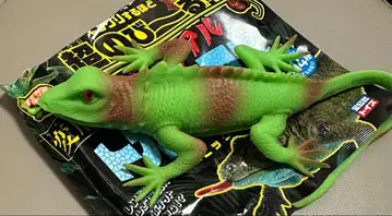 다카라지마사 초신축 변형 파충류 리얼 도마뱀 & 악어