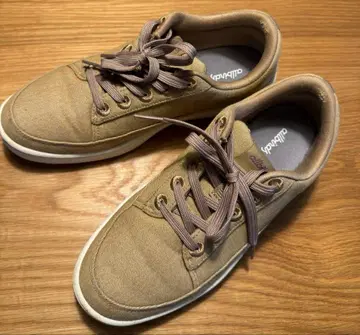 allbirds 베이지 캔버스 스니커즈 25cm