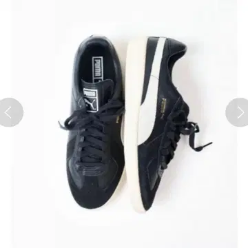 PUMA 아미 트레이닝복 24.5