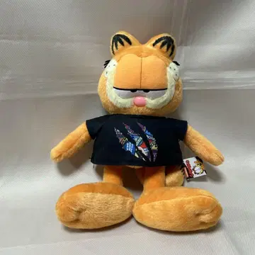 5 가필드 봉제 인형 약 30cm