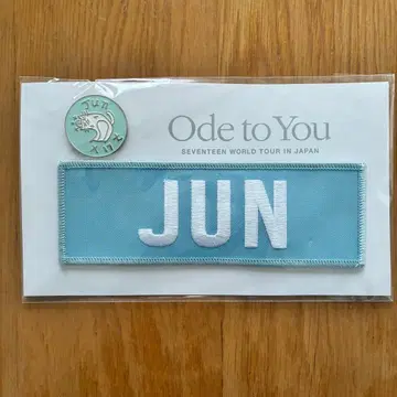 seventeen 준 ode to you 와펜