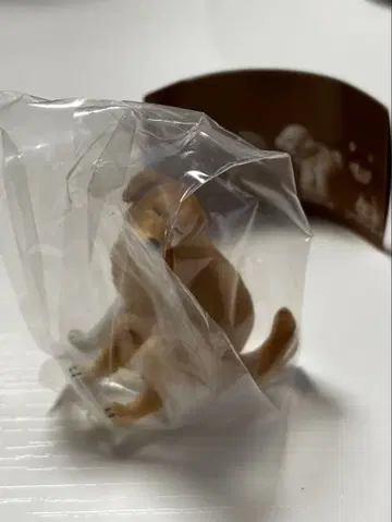 굼벵이 2 골든 리트리버 (시크릿)