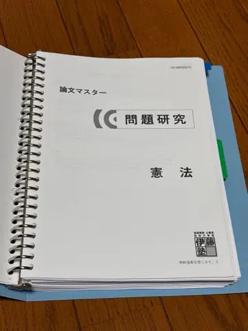 이토 논문 마스터 헌법