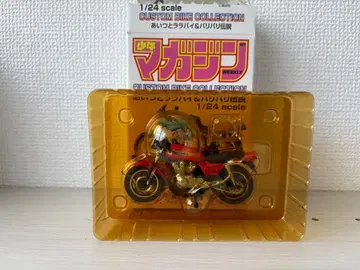 커스텀 바이크 컬렉션 1/24 스케일