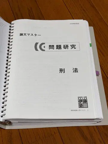 이토 논문 마스터 형법