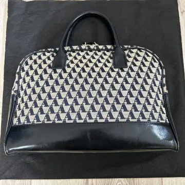 아쿠아 스큐텀 핸드백