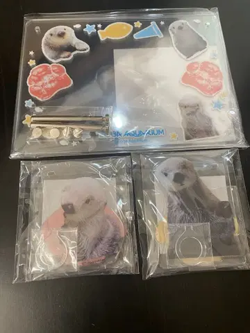 캡슐 복권 x 토바 수족관 랏코 키라메이 랏코의 메이짱 복권 리턴즈!