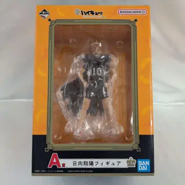 히나타 쇼요 제일복권 하이큐!! 10th anniversary! A상