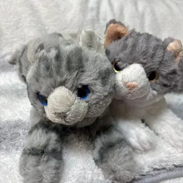 무릎 고양이 아기 고양이 봉제 인형 2마리 세트