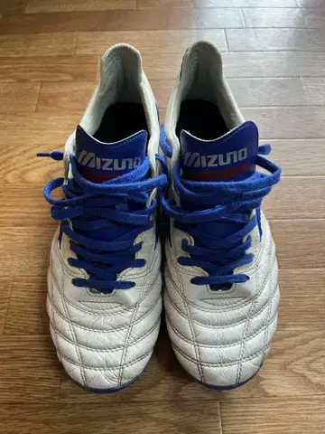 모렐리아 네오 초대 27cm