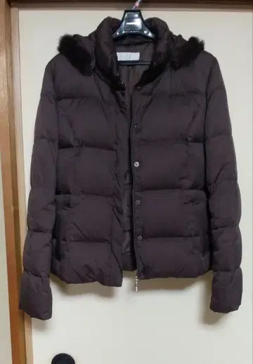 애니시스 다운 다크 브라운