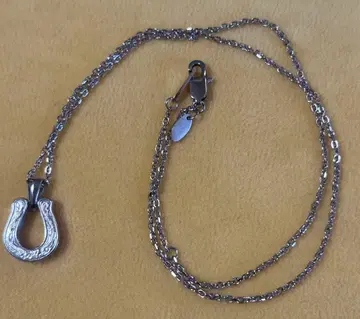 BLESS 써지컬 스테인리스 말 목걸이