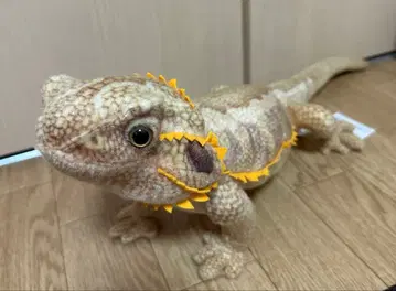 리얼 애니멀즈 도마뱀 봉제 인형