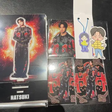 호리 나츠키 아크릴 스탠드 포토 카드 러버 참