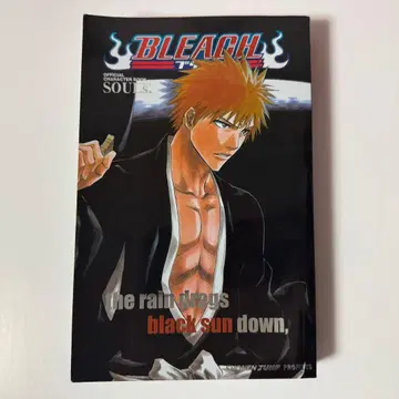 Bleach SOULs. 공식 캐릭터 북 영어