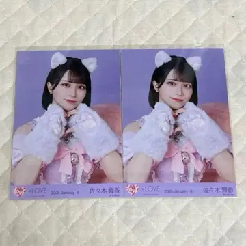 사사키 마이카 고양이 의상 브로마이드