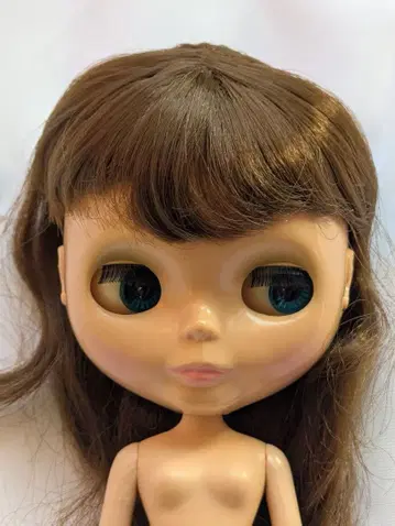 네오 브라이스 인형 본체