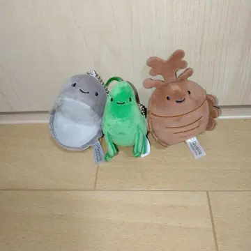 쿠오리아 벌레 봉제 인형 장수풍뎅이 쥐며느리 메뚜기 닛코리노