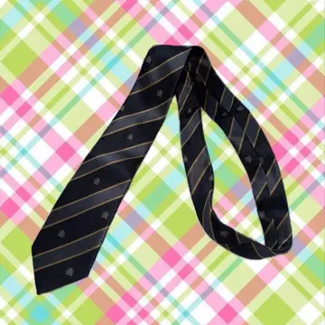 꽃보다 남자 이케멘 파라다이스 이케파라 넥타이 헤이세이 y2k