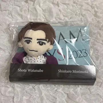 와타나베 쇼타 DREAM BOYS 봉제 인형