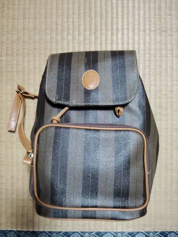 스트라이프 디자인 백팩