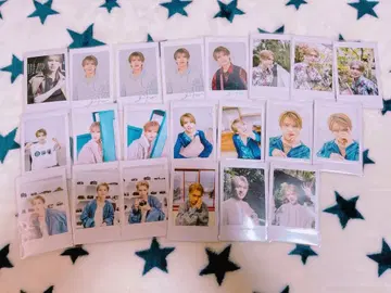 타무라 쇼고 폴라로이드 세트