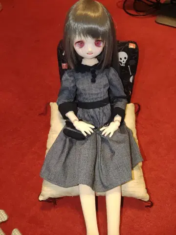 돌피드림 MDD 방석 세트