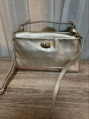 골드 가죽 숄더백